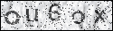 human verification image