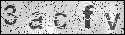 human verification image