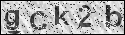 human verification image