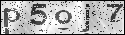 human verification image