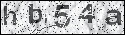 human verification image