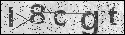 human verification image