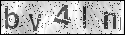 human verification image
