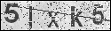 human verification image