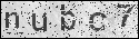 human verification image