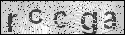 human verification image
