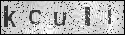 human verification image
