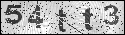human verification image