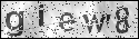 human verification image