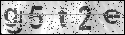 human verification image