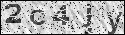 human verification image
