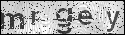 human verification image