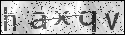 human verification image