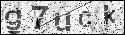 human verification image