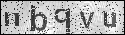 human verification image
