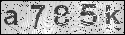 human verification image