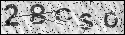 human verification image