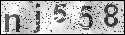 human verification image