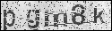 human verification image