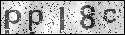 human verification image
