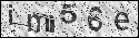 human verification image