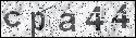 human verification image