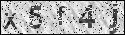 human verification image