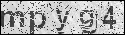 human verification image