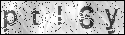 human verification image