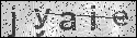 human verification image