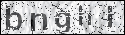 human verification image