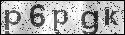 human verification image