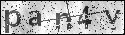 human verification image