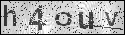 human verification image