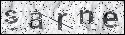 human verification image