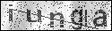 human verification image