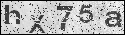 human verification image