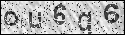 human verification image