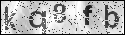 human verification image