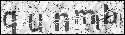 human verification image