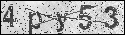 human verification image
