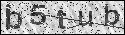 human verification image