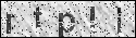 human verification image