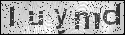 human verification image