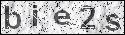 human verification image