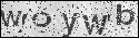 human verification image