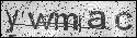 human verification image