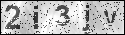 human verification image