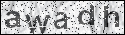 human verification image