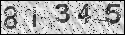 human verification image